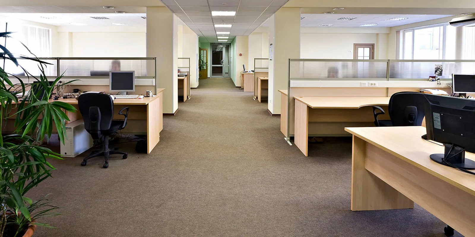 carpet cleaners in bkln, carpet cleaning in bkln, carpet cleaning brooklyn, carpet cleaners in brooklyn, commercial carpet cleaning, commercial carpet cleaning in brooklyn,carpet cleaning in brooklyn, brooklyn rug cleaners, rug cleaning services in brooklyn, same day carpet cleaning, same day rug cleaning